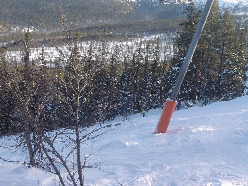 worldcupbacken