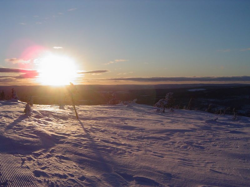 worldcupbacken