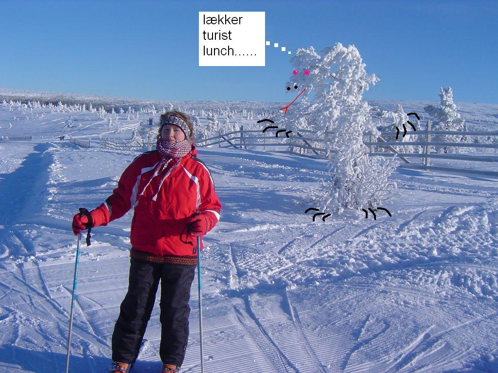 worldcupbacken